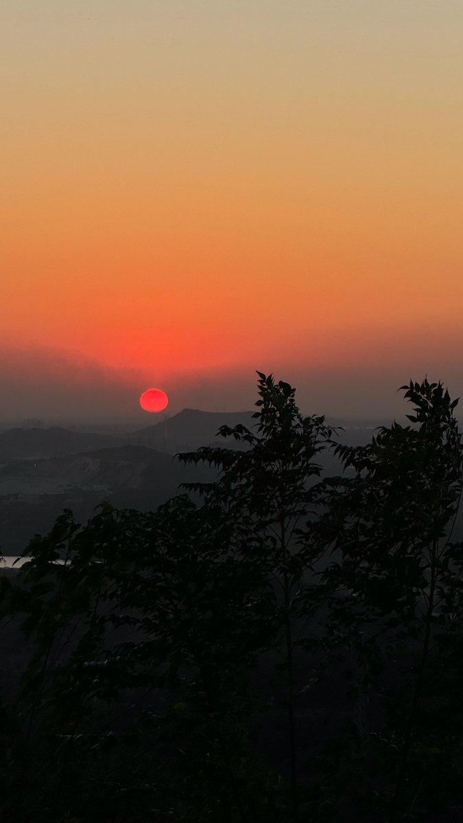 Sylvain Le Bourlout tweet media