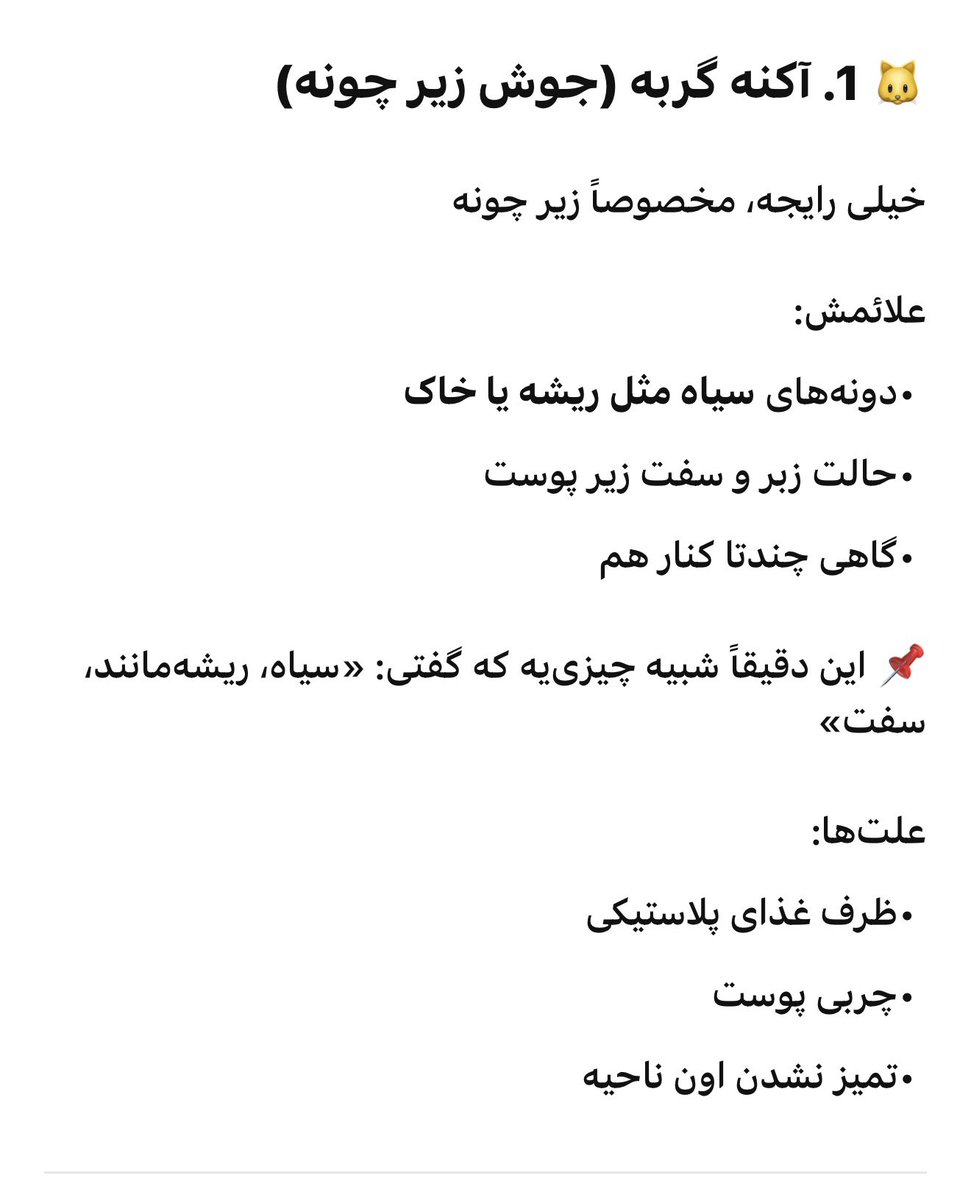 Saye Sohrabi زن .زندگی .آزادی tweet media