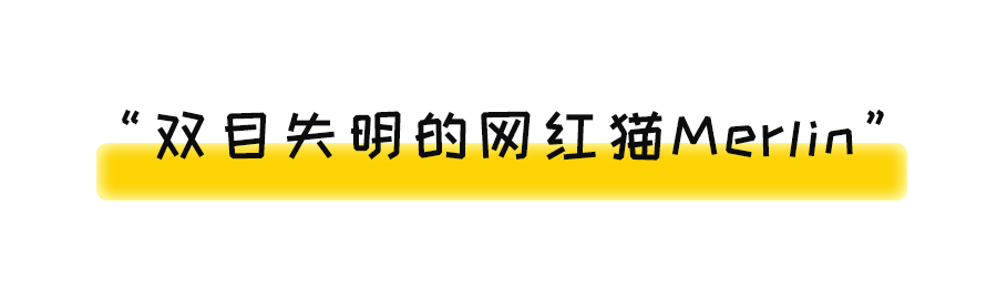 MARTINEZ tweet media