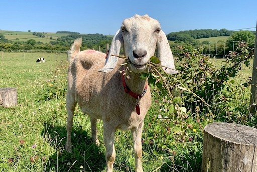 Sama Hoole tweet media