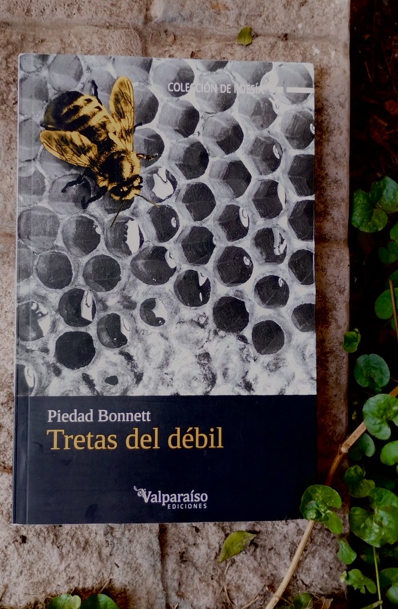 Letrasurbanas_ Andy tweet media