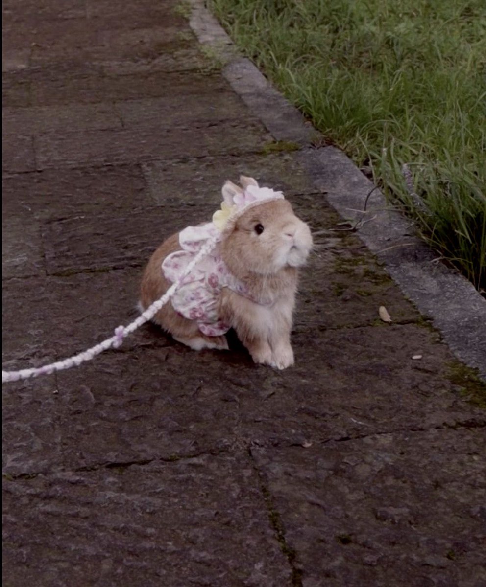 Roxy ✰ tweet media