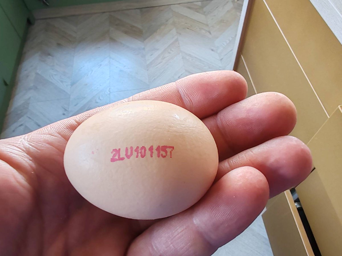 Piotr Cezary Lisiecki tweet media