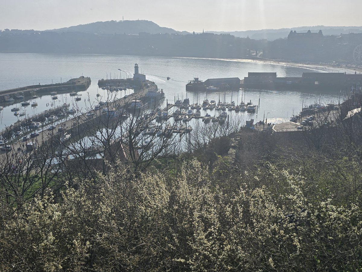 Alan Jackson tweet media