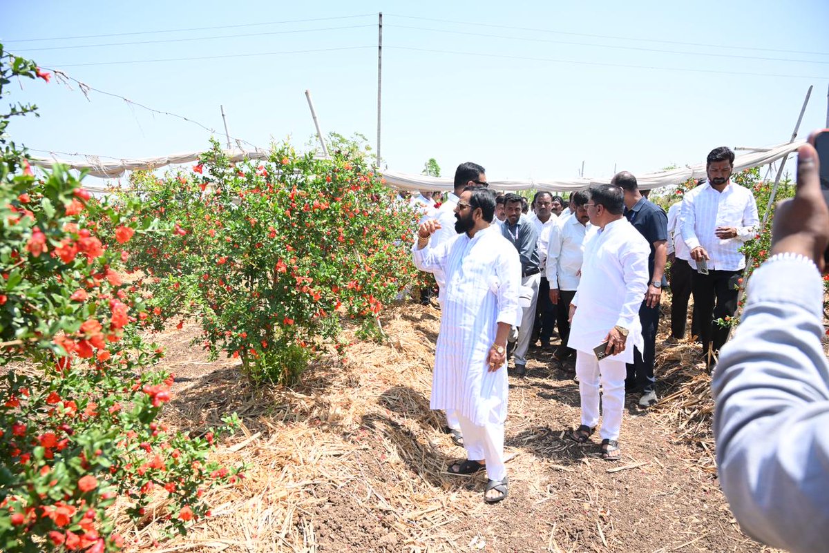 DISTRICT INFORMATION OFFICE, SOLAPUR tweet media