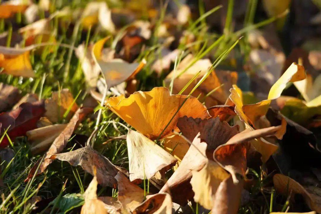 bradleydallinson tweet media