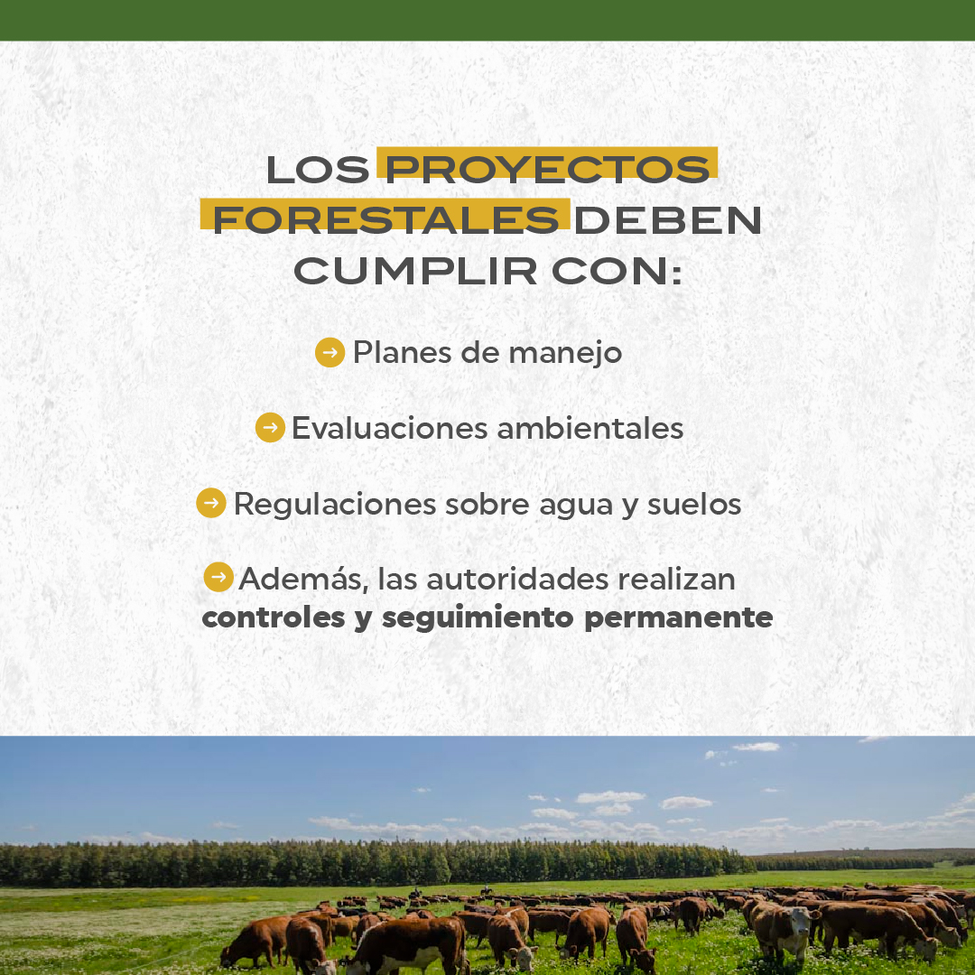 Sociedad de Productores Forestales tweet media