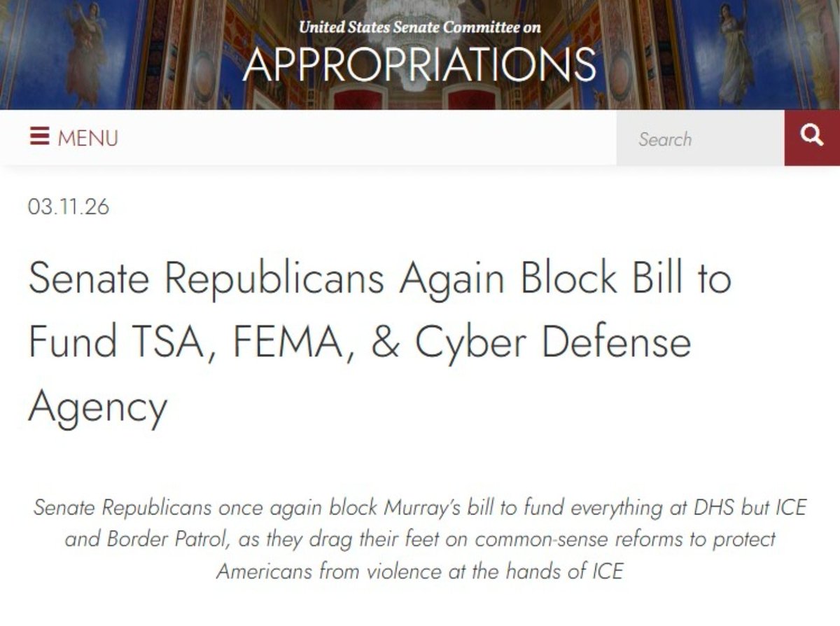 Curious Mr. Fox tweet media