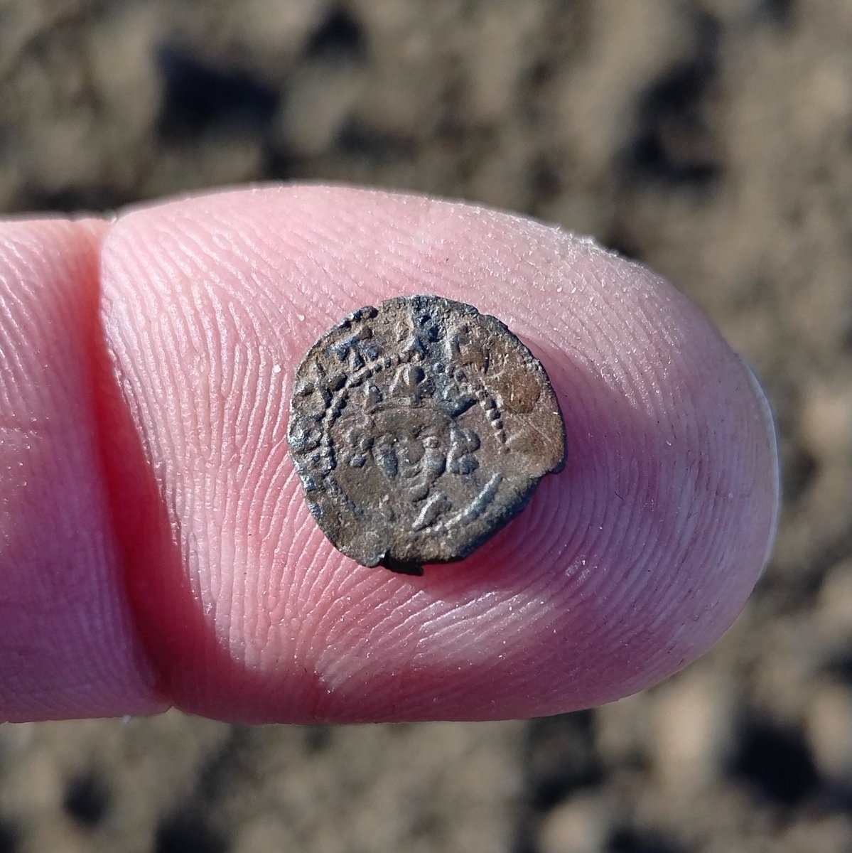 Suffolk Detectorist tweet media