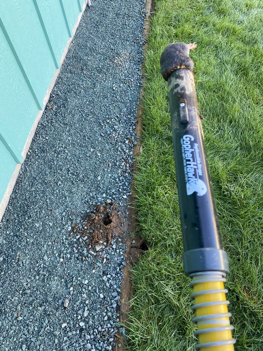 Eric Troili tweet media