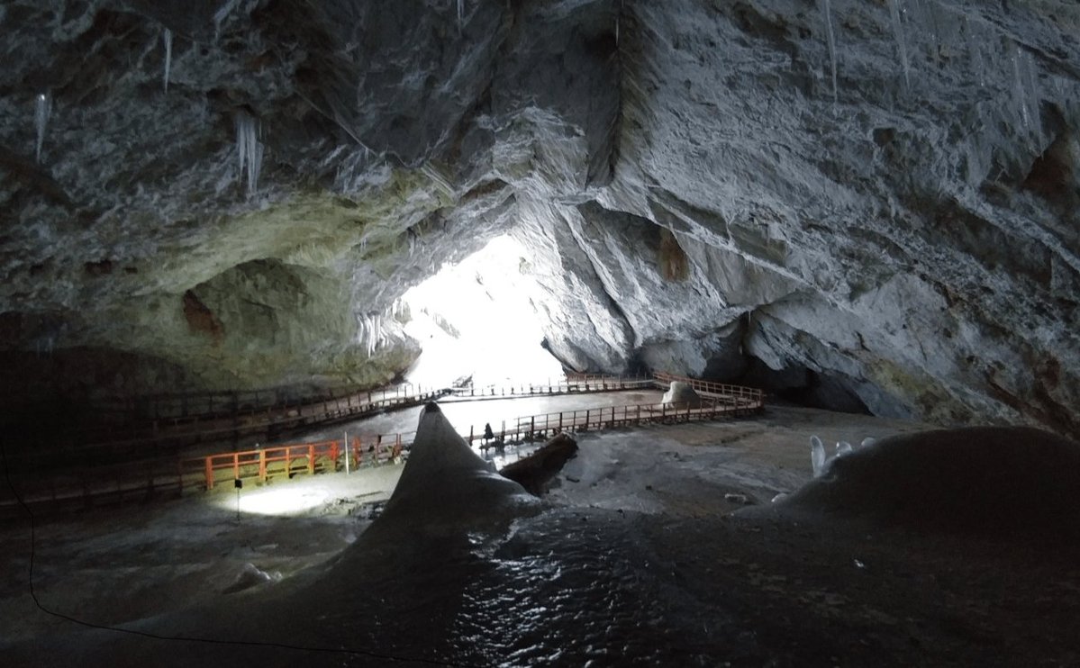 Jose Ramos Vivas tweet media