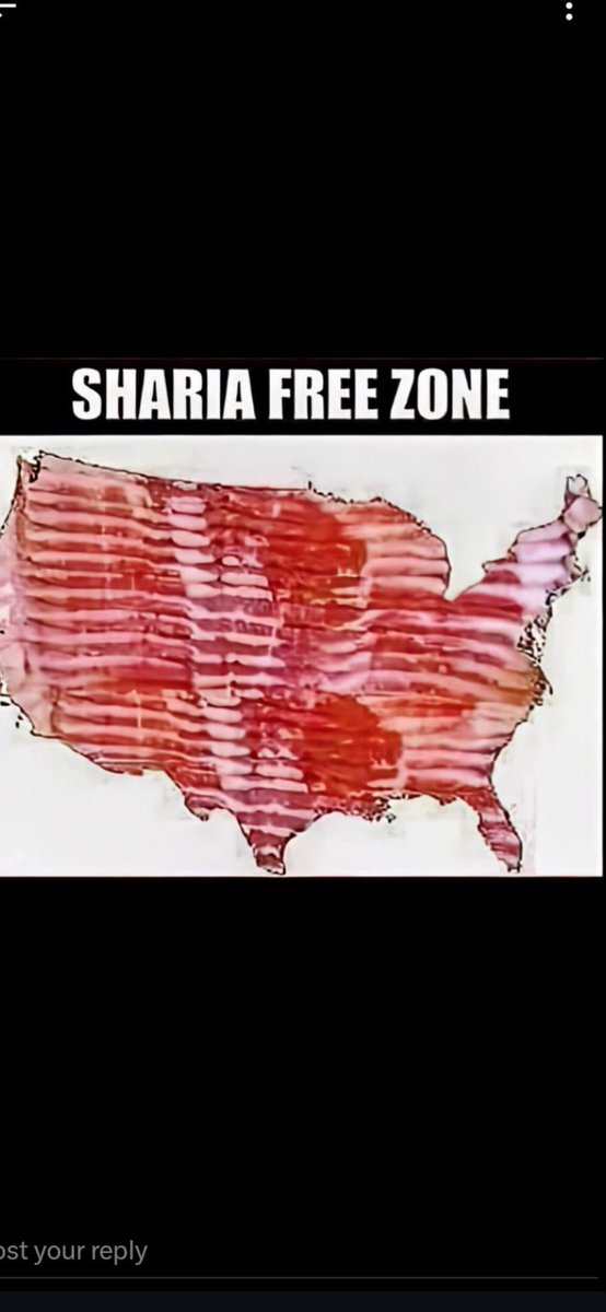 Skunkston ♟️🧨 tweet media