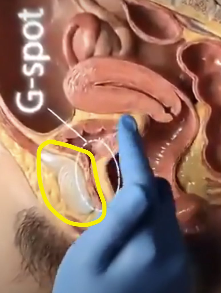 CORNdiff tweet media