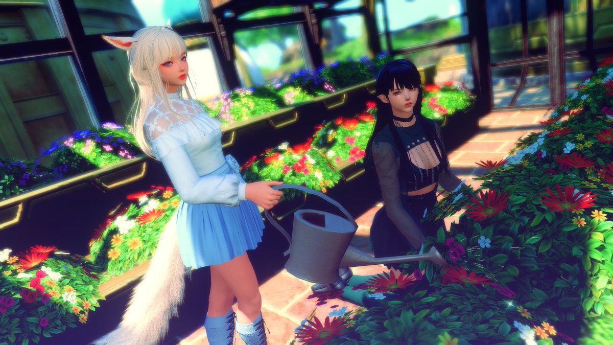 KittyMaveth's tweet photo. Spring gardening with my OC, Maya~

#GPOSERS #GPOSER #EorzeaPhotos #FFXIVSnaps #FFXIVSCreenshots #FF14SS #FFXIVGposers #Miqote #Viera https://t.co/Q1LhhjCGCF