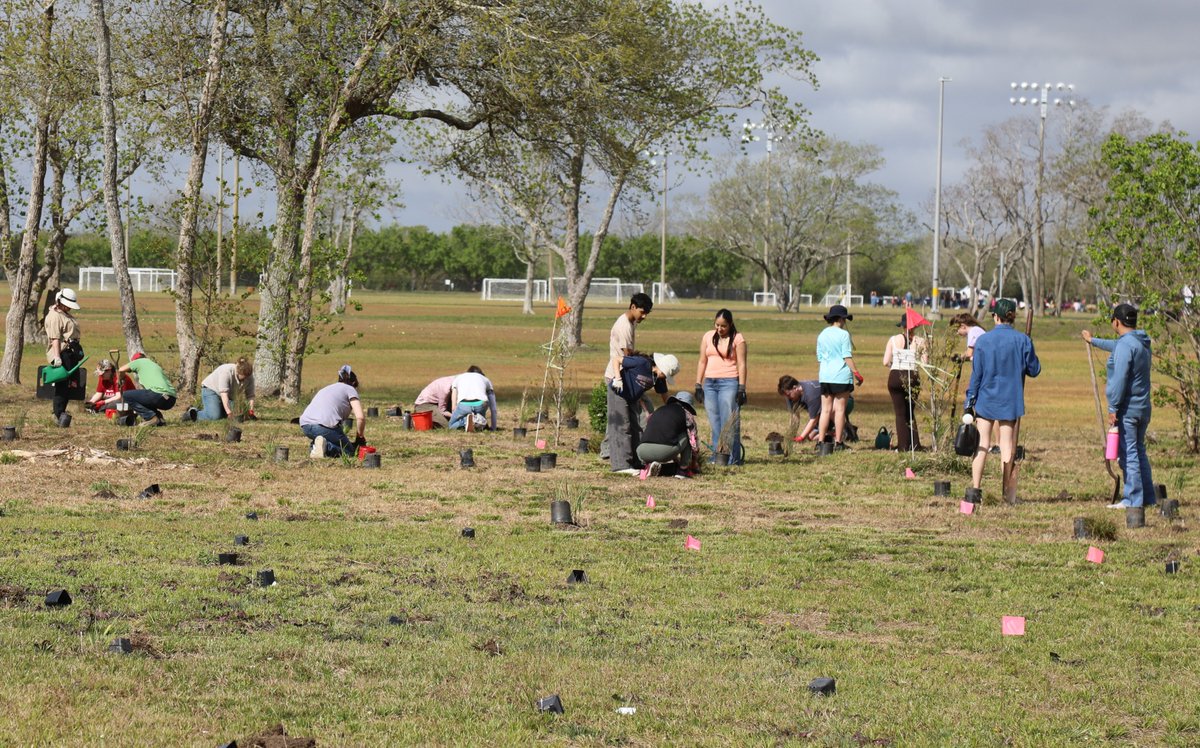 Alvin College tweet media