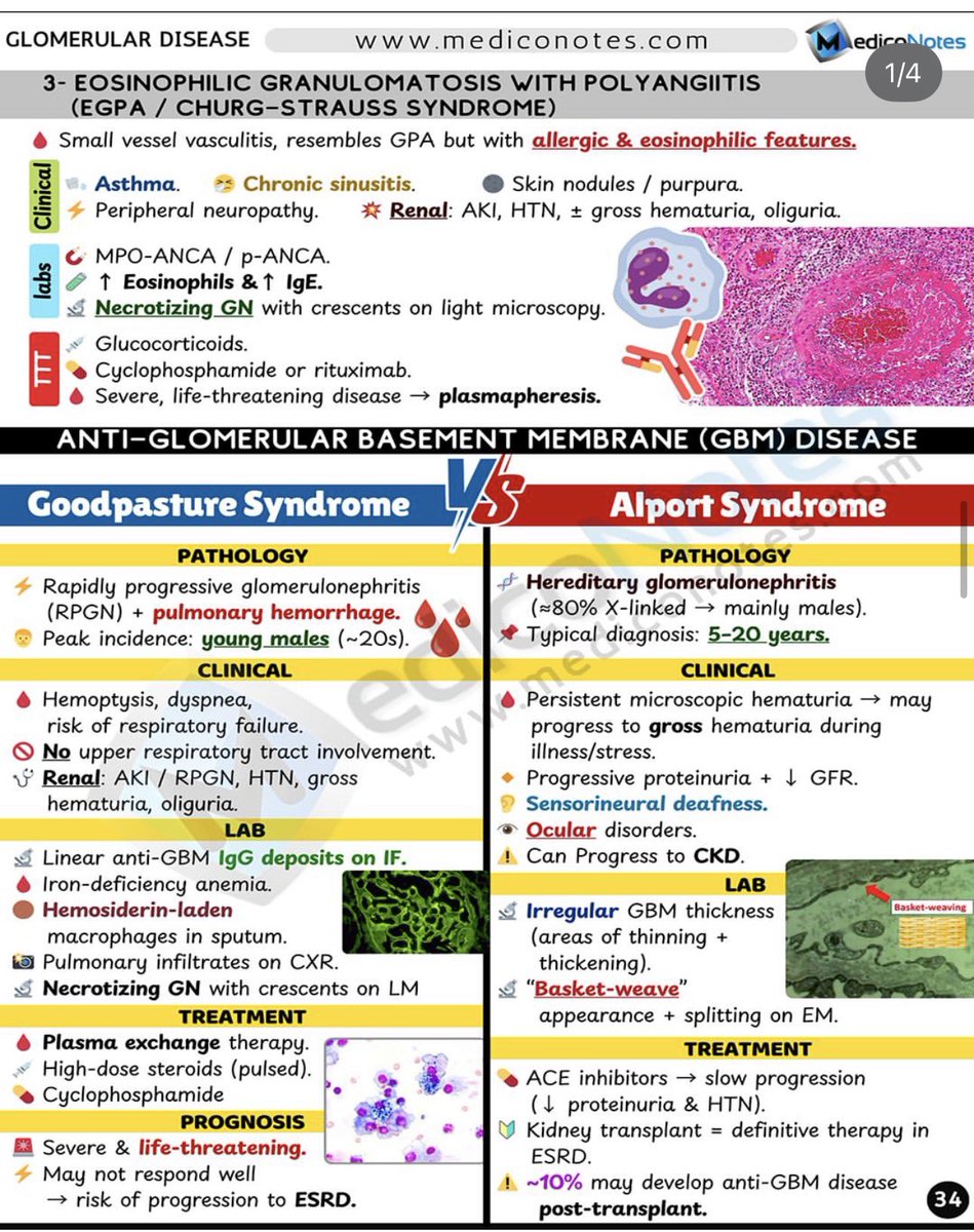 MedicoNotes tweet media
