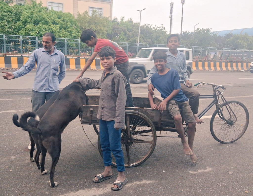 Pallavi U Dar tweet media