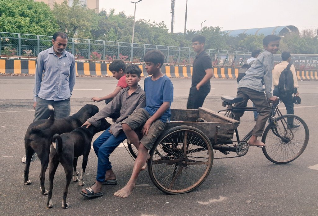 Pallavi U Dar tweet media