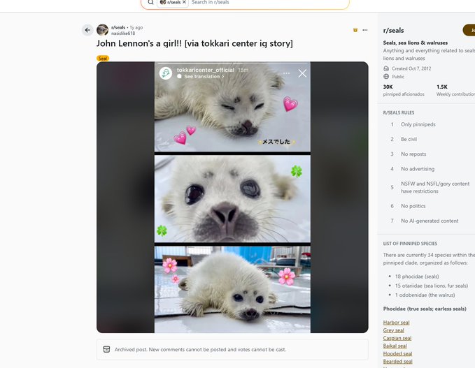 teddyquant tweet media