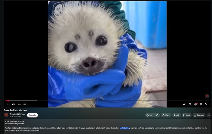 teddyquant tweet media