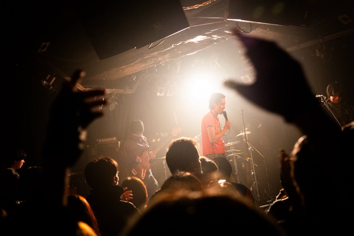 DOG STOCK tweet media