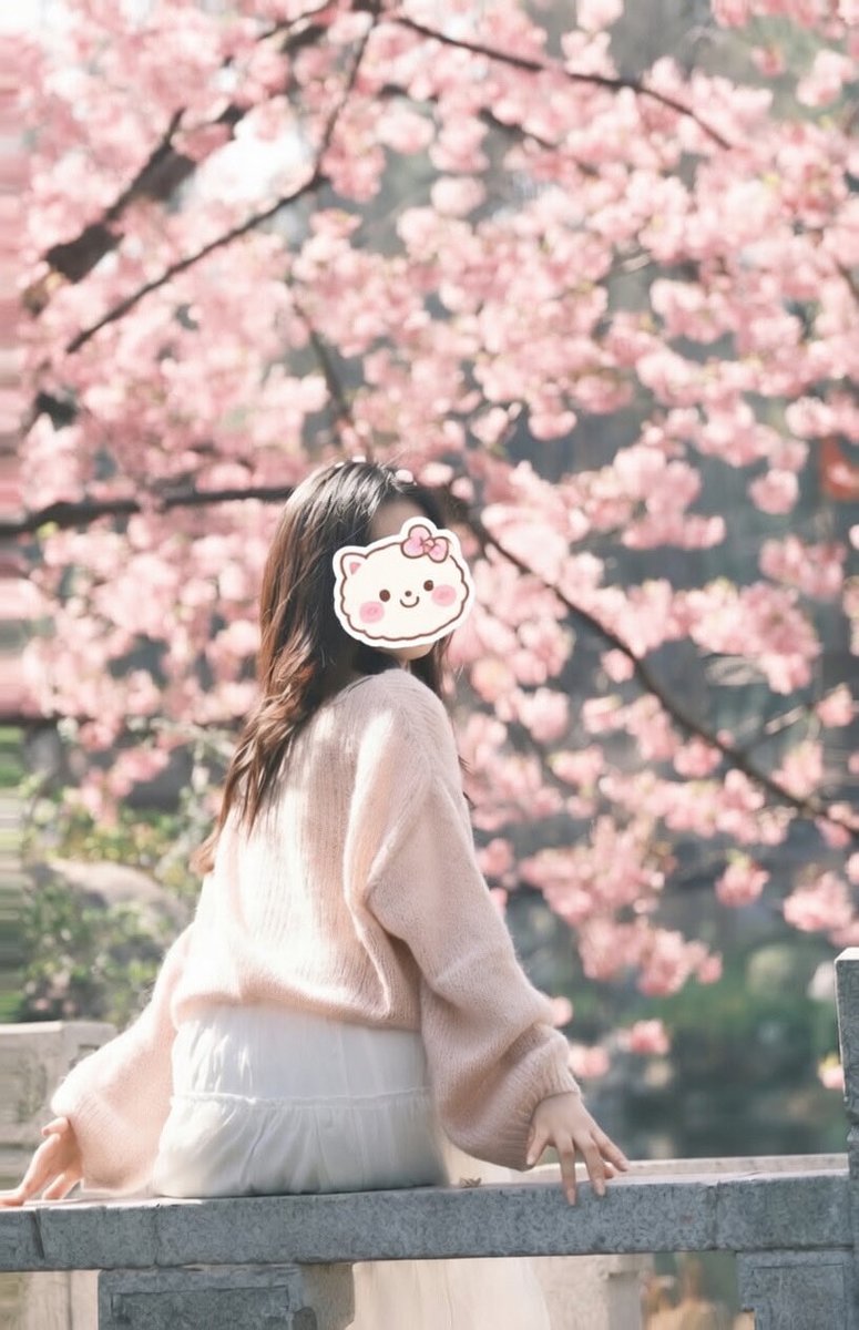 语桐sss tweet media