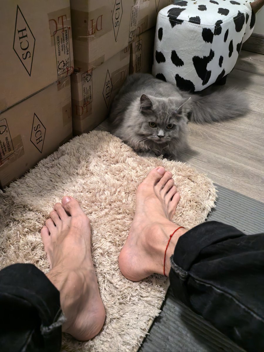 ちびた tweet media