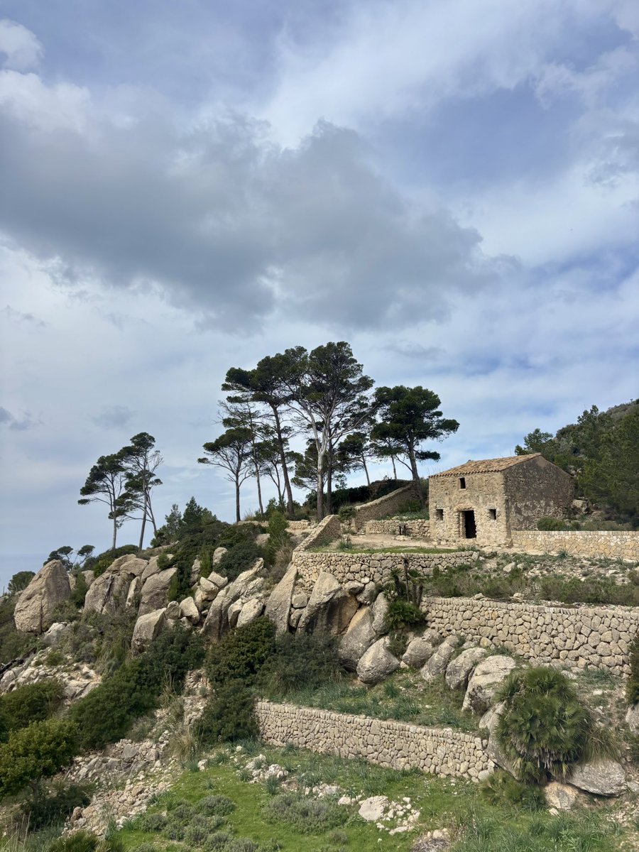 L ✈️ tweet media