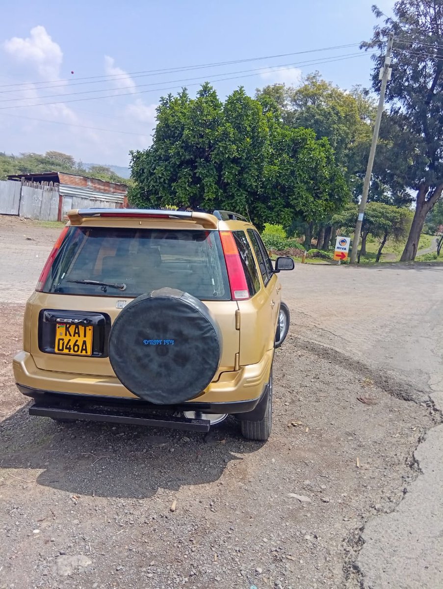 Seddie☆ tweet media