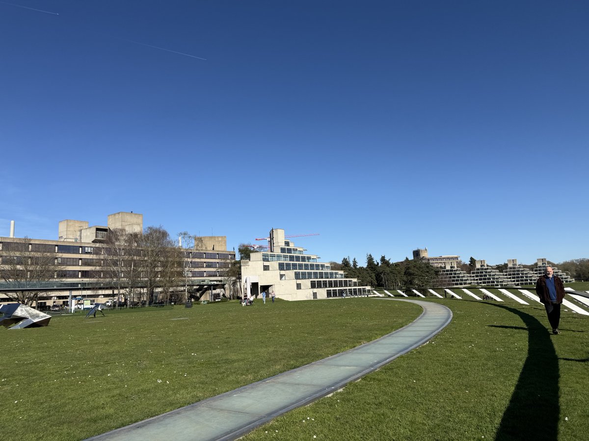 Granny Bonnet tweet media