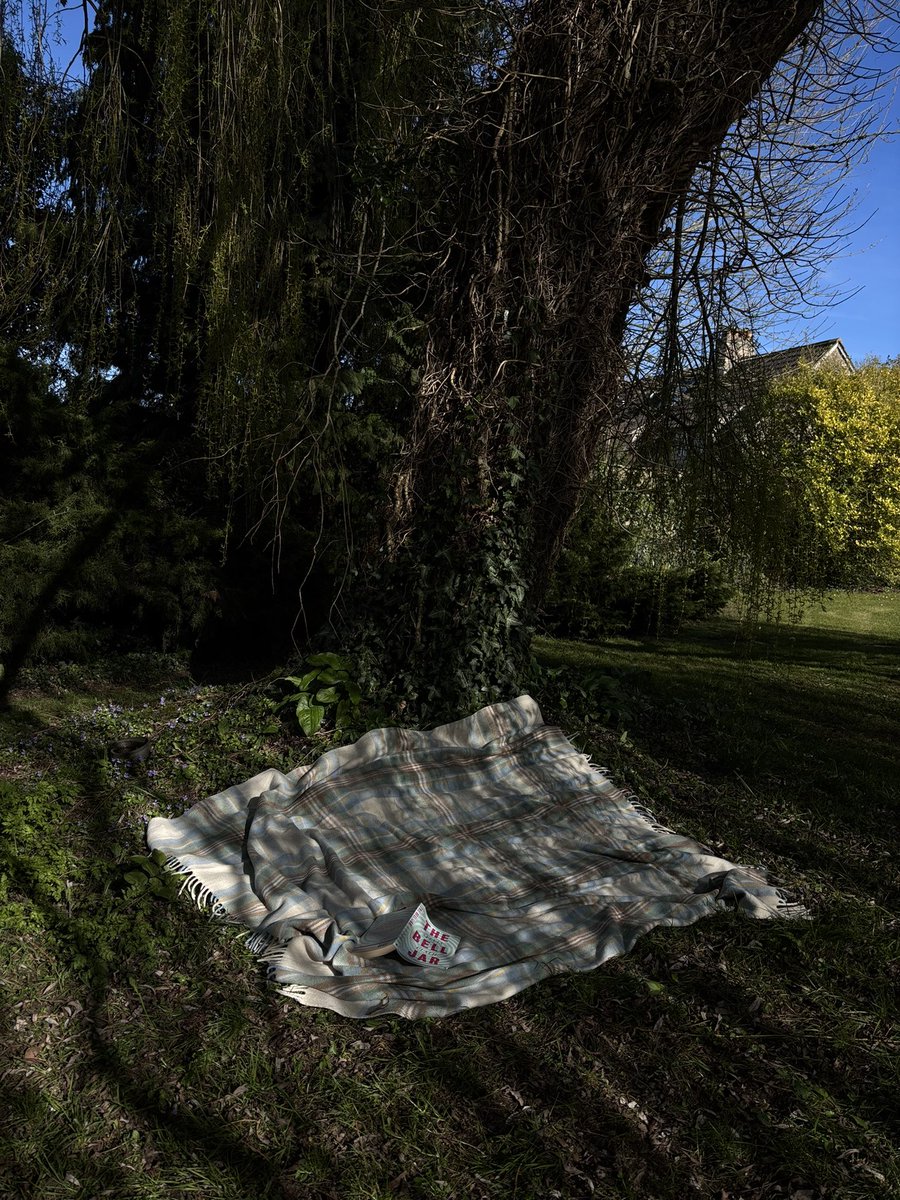 ଘ(੭◌ˊᵕˋ)੭* ੈ♡‧₊˚ normal girl ‧₊˚ tweet media