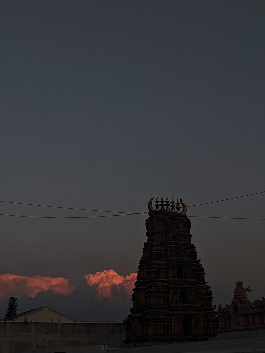 the avinasha tweet media