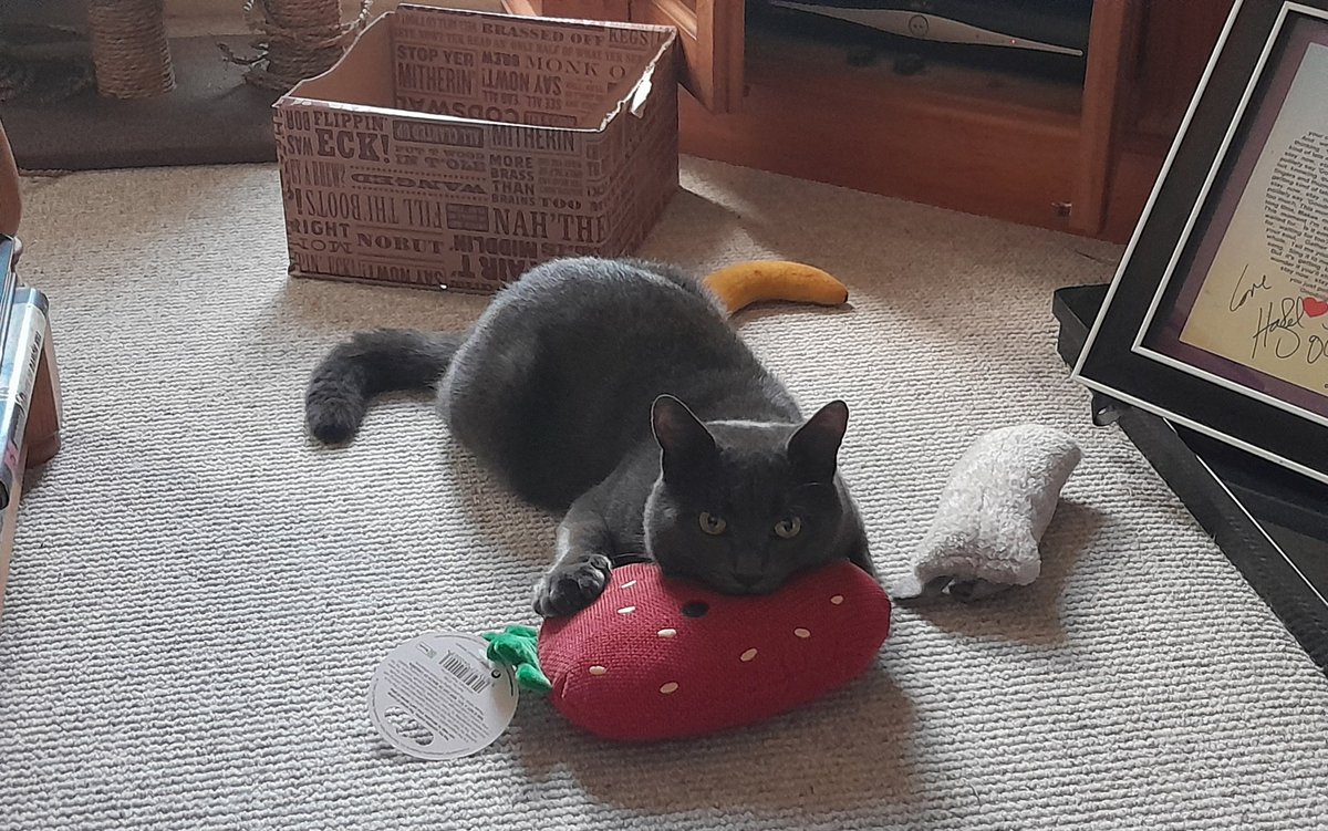 Angel Cadwell 🌈 Oulton & Thruxton tweet media