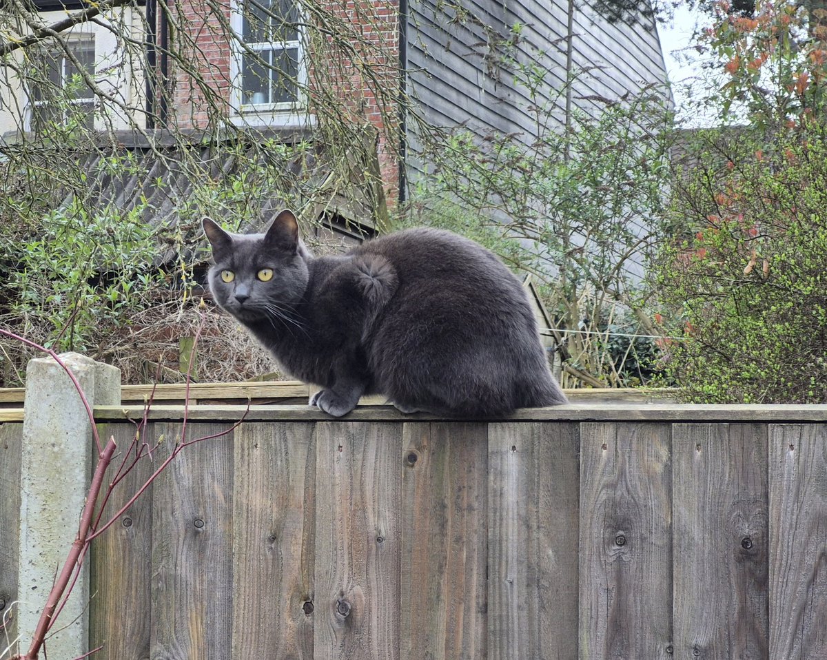 Angel Cadwell 🌈 Oulton & Thruxton tweet media