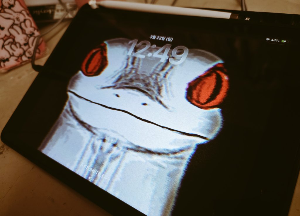 산세베리아(트친소) tweet media