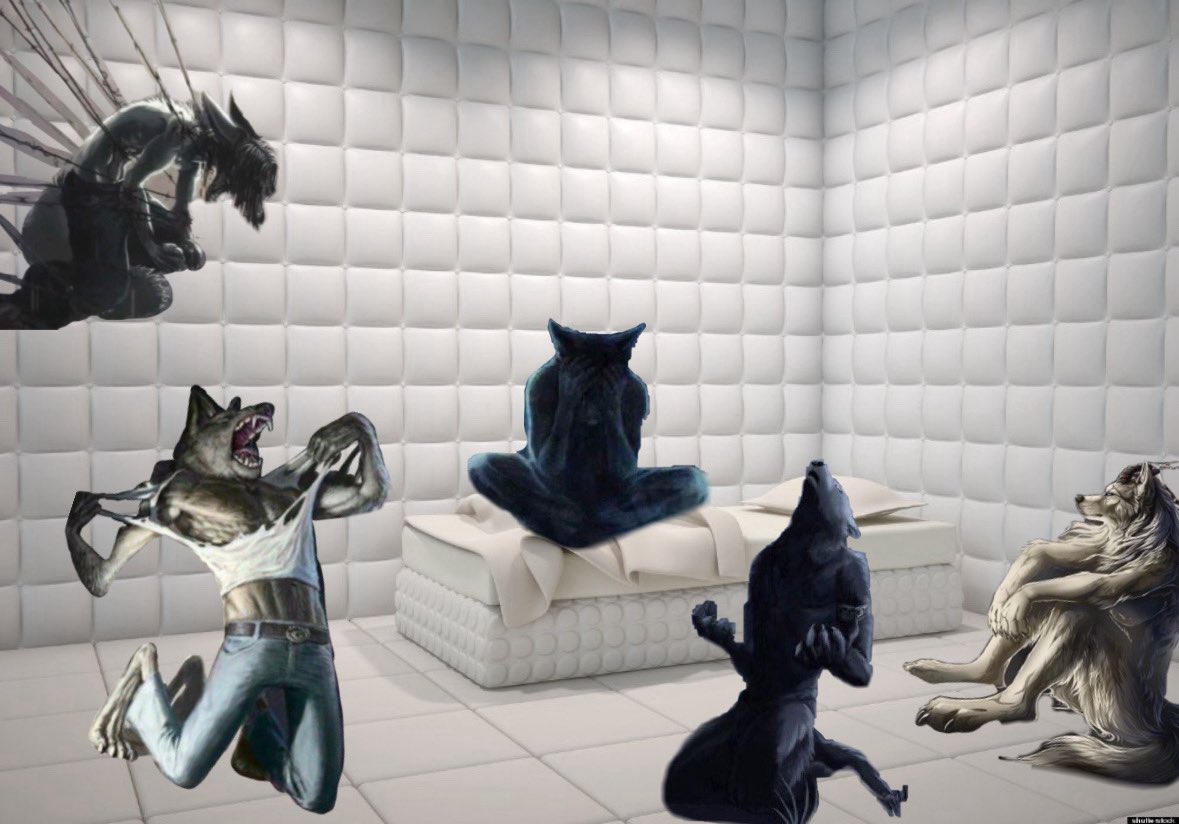 aylin ☽ tweet media