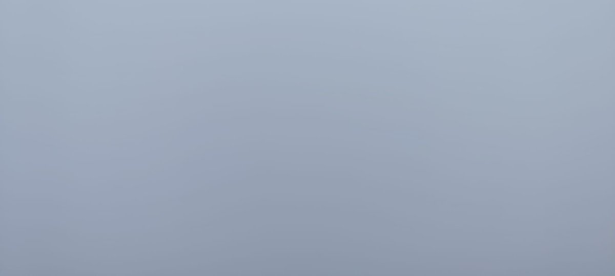 Francisco J. Viegas tweet media