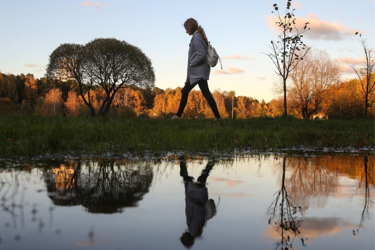 Парфенова Татьяна tweet media