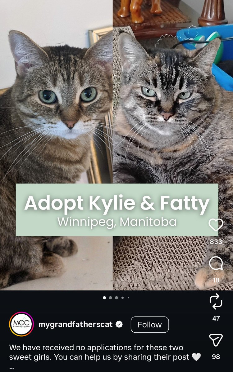 josh 📈 tweet media