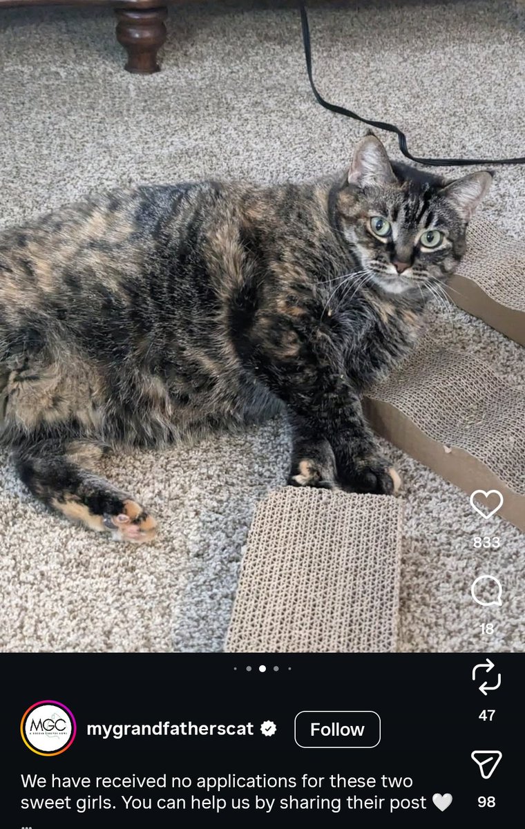 josh 📈 tweet media