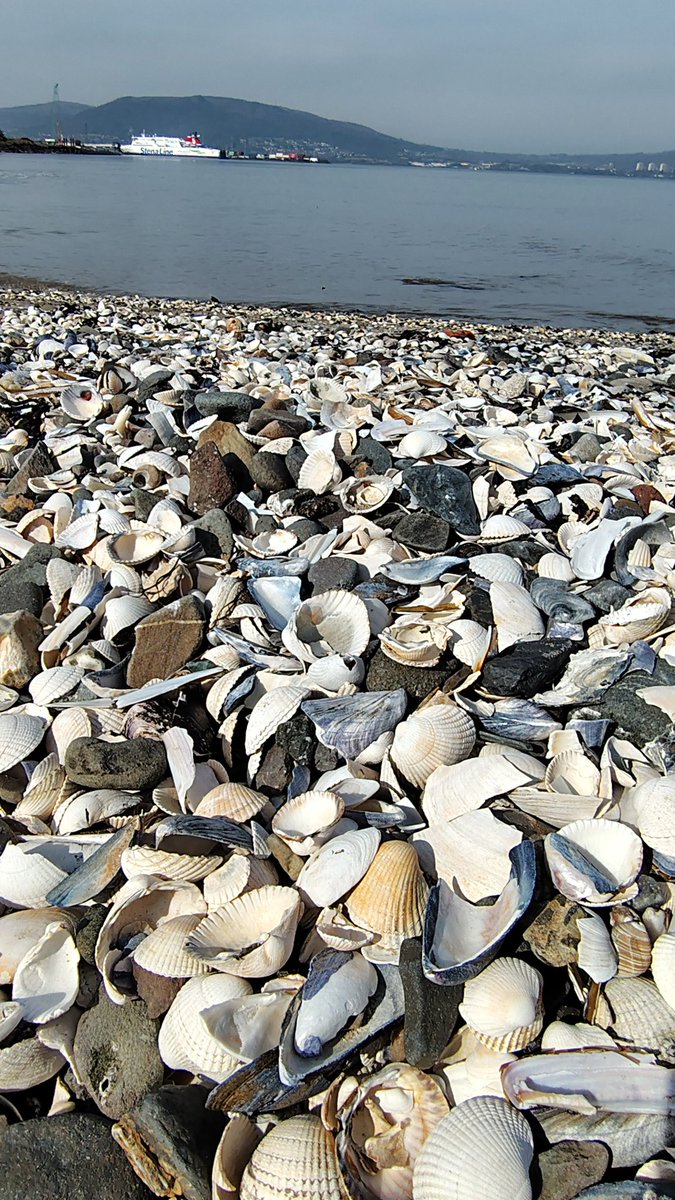 QuietNatureLens tweet media