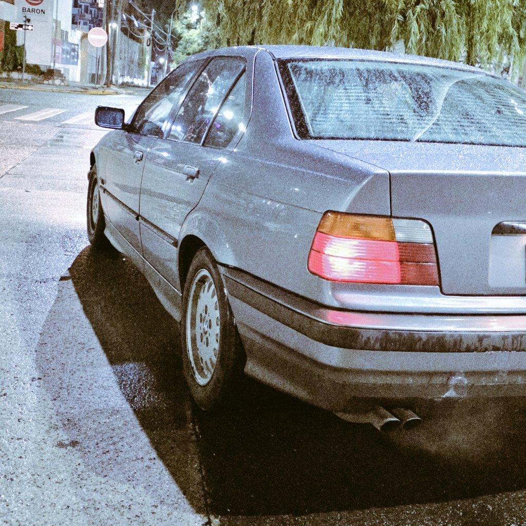 Fede Moffo tweet media