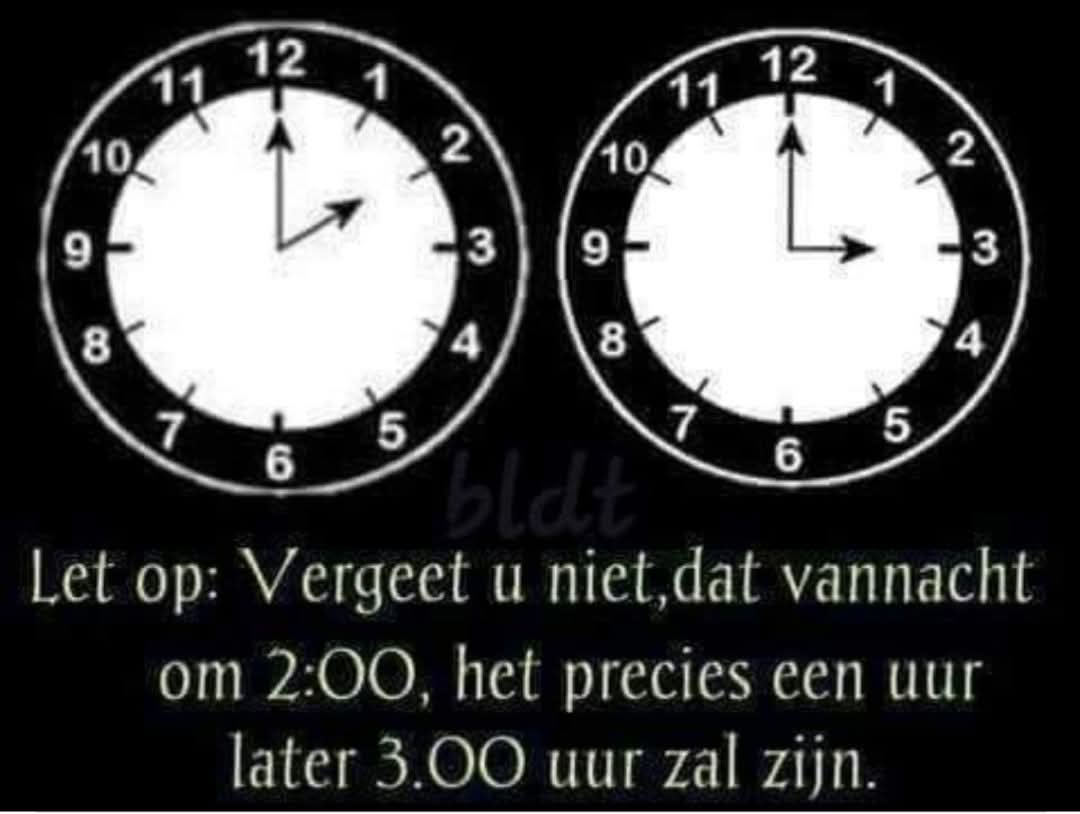 jan van geffen tweet media