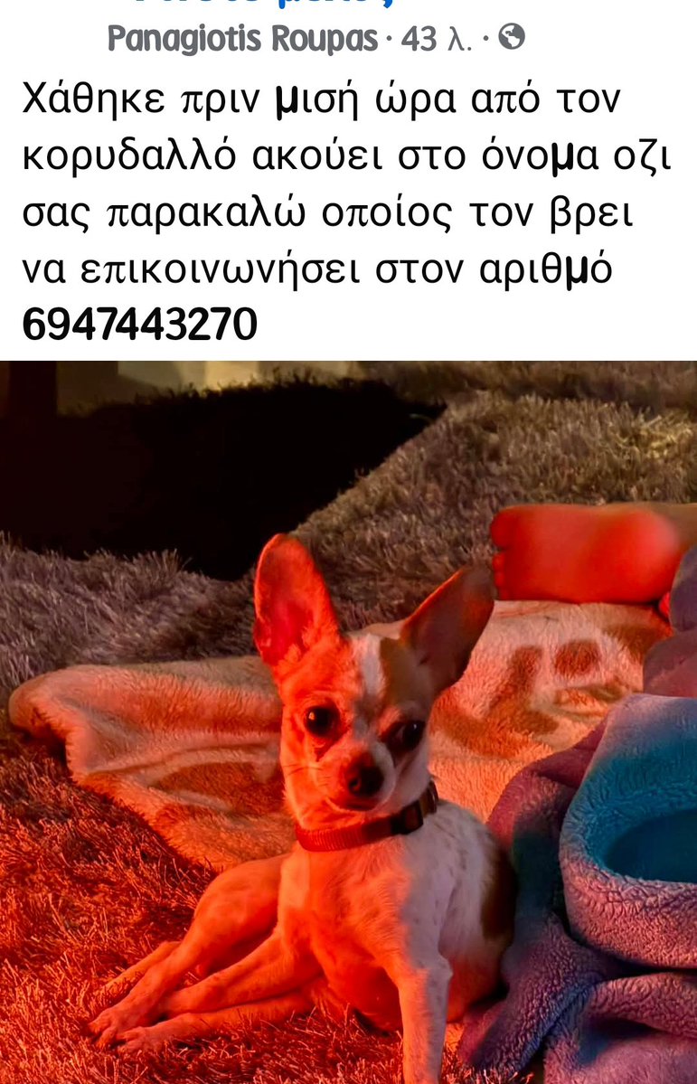 εφη απλα tweet media