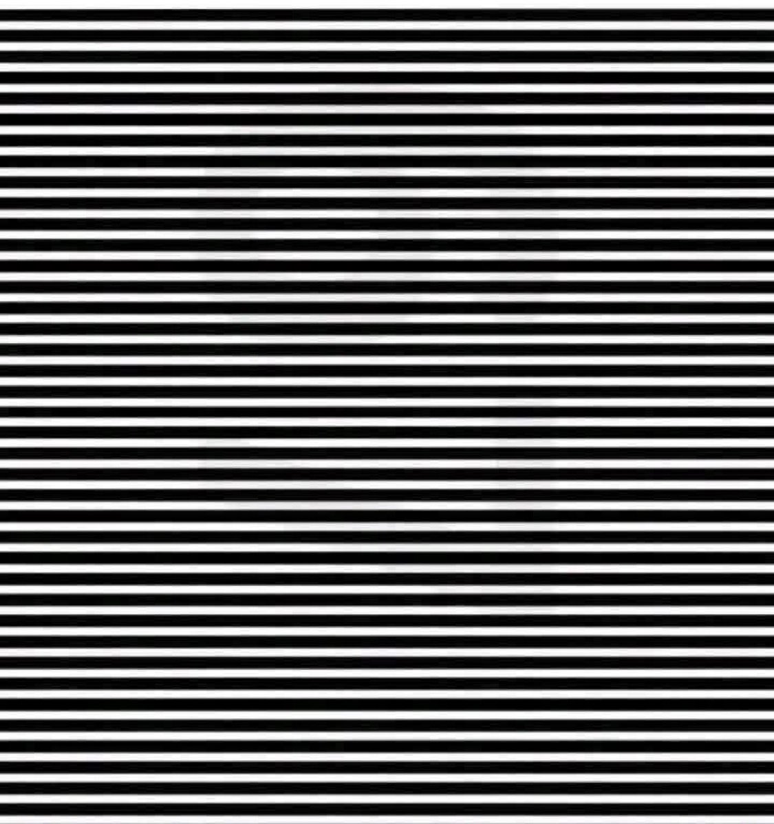 Abdou Hadr Diallo🦁🚀 tweet media