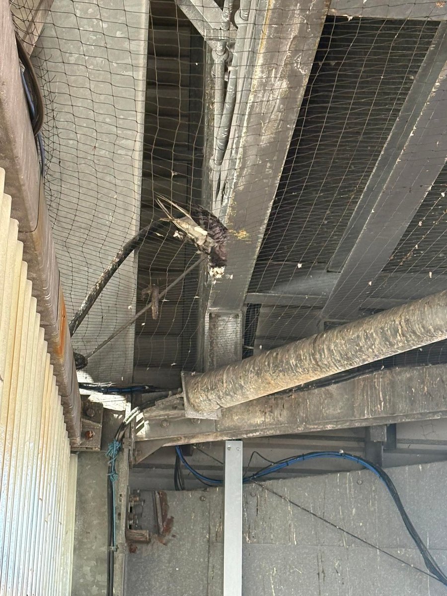 Rob Waghorn tweet media