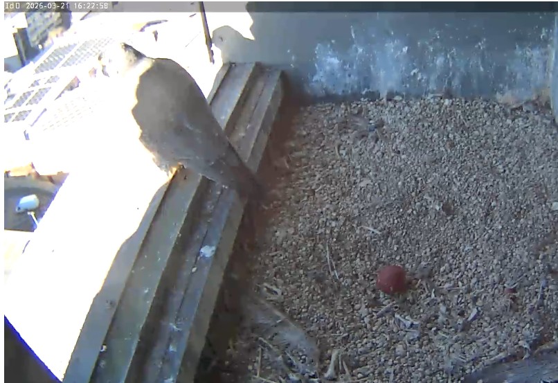 James Sellen tweet media