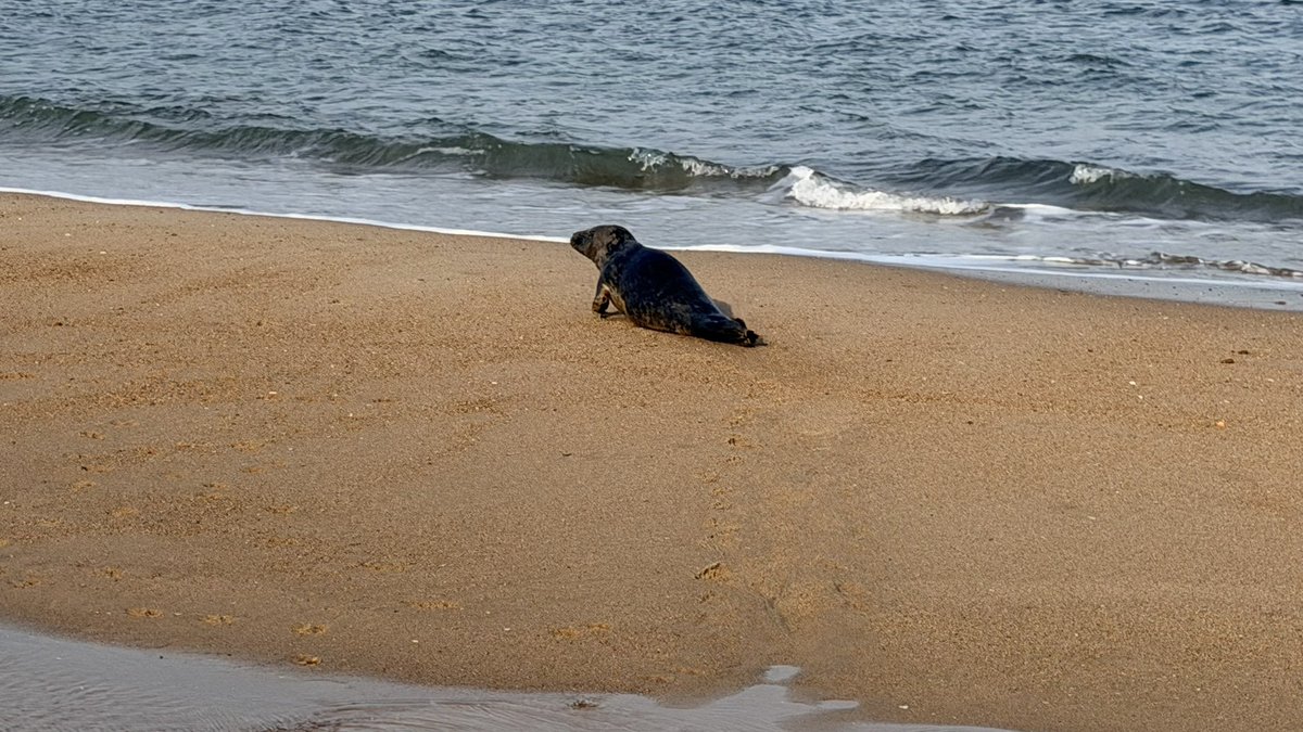 Run Geordie Run 🌏🌎🌍🏃🏻 tweet media