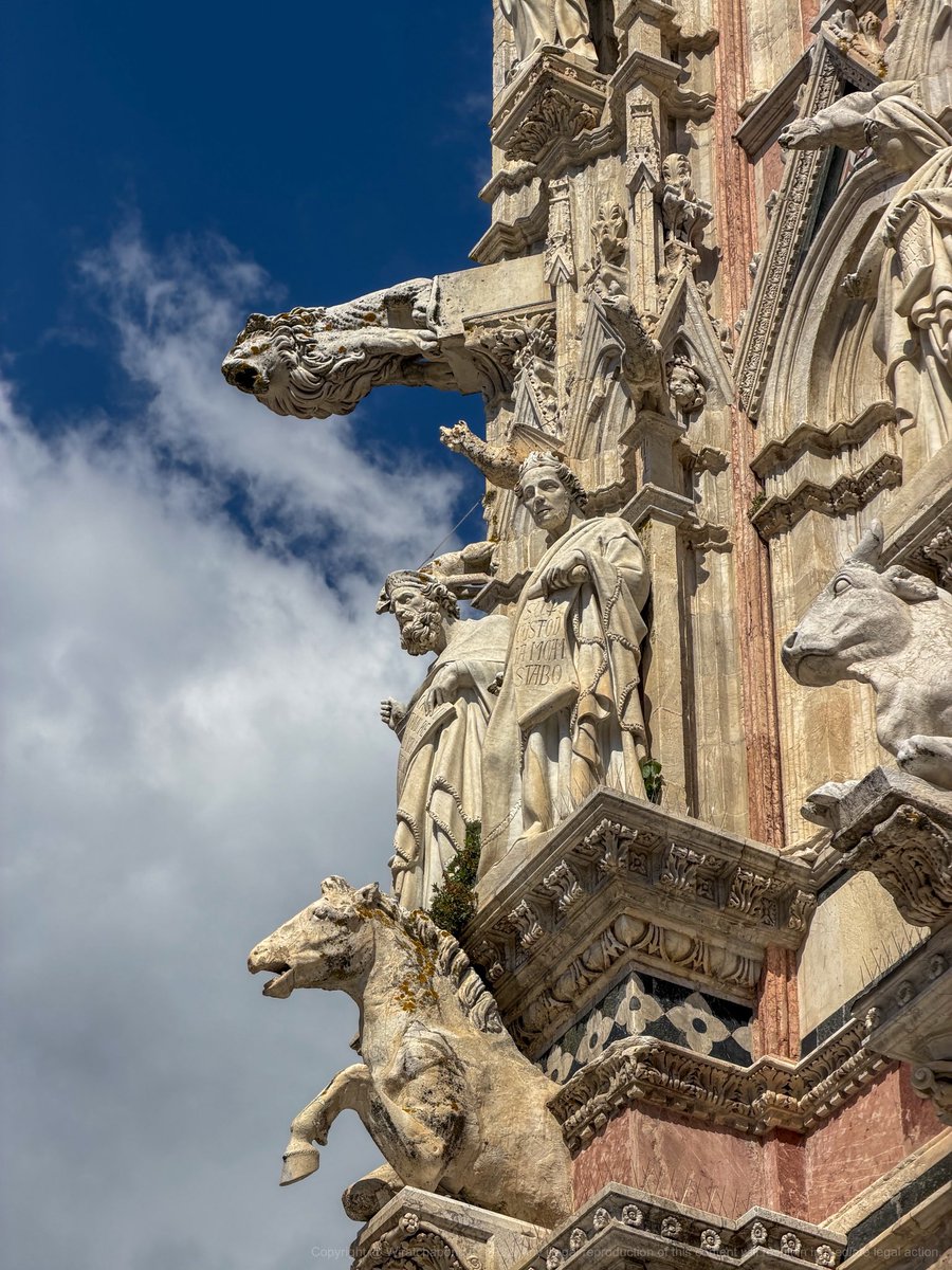 เป็นคนเป้วๆ ปวดเย่วก็เข้าห้องน้ำ tweet media