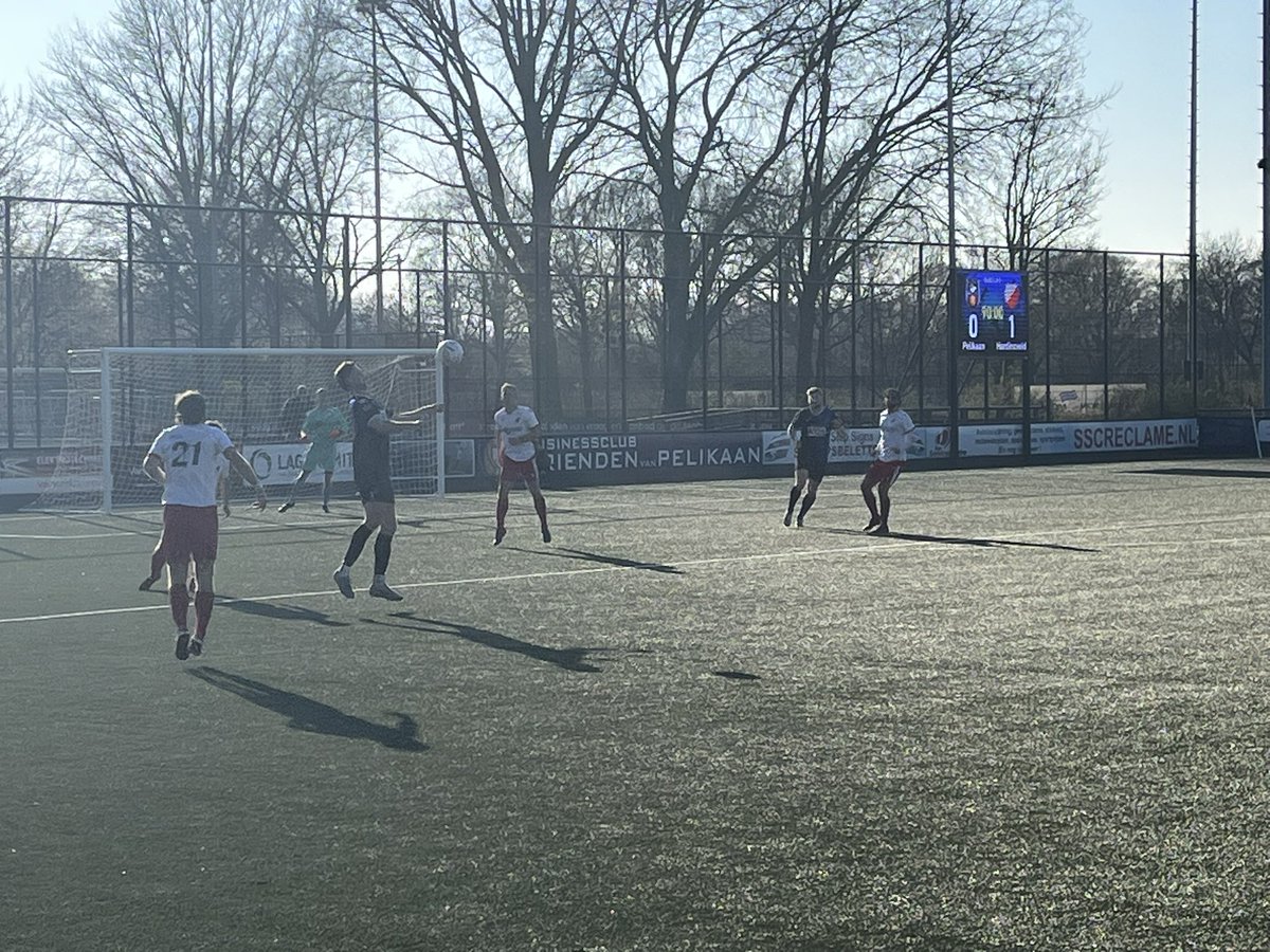 elButro9 tweet media